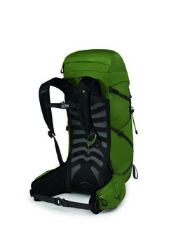 OSPREY turistički ruksak TALON 33,  green belt/black