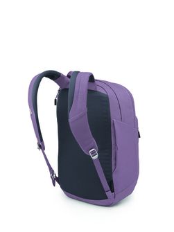 OSPREY gradski ruksak ARCANE XL,  purple dusk heather