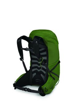 OSPREY planinarski ruksak TALON 26,  green belt/black