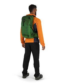 OSPREY turistički ruksak TALON 22,  green belt/black