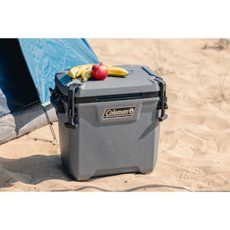 Coleman Hladnjak Convoy 28qt 29 L