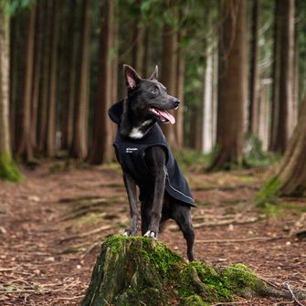 Mountain Paws Kišna za psa mala