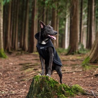 Mountain Paws Velika kabanica za psa