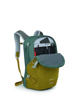 OSPREY gradski ruksak NEBULA,  green tunnel/brindle brown