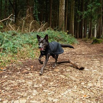 Mountain Paws Kišna za psa mala